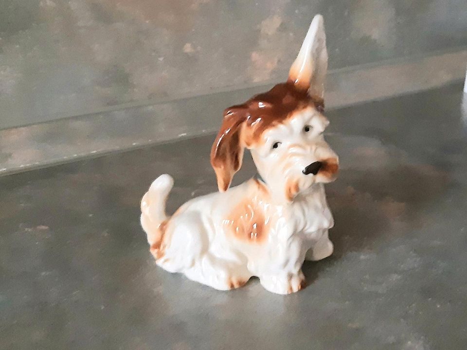 Alte Porzellan Figur Hund Terrier in Berlin