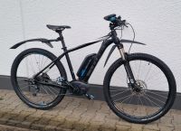 CUBE E Bike mit 2× Bosch Akkus ( 400Wh & 500Wh ) - 29Zoll Rheinland-Pfalz - Bad Kreuznach Vorschau