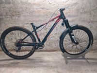 Commencal Meta HT SX Rahmen 26" Größe M Dresden - Dresden-Plauen Vorschau