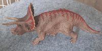 Schleich Dinosaurier Triceratops Hessen - Baunatal Vorschau