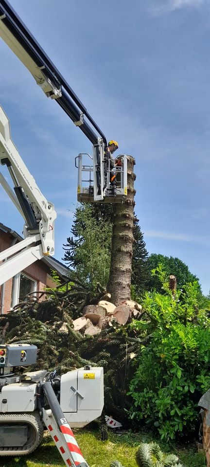 Lagerplatz Lagerfläche Siloplatte Scheune in Saerbeck