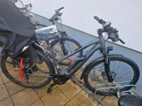 Bulls Damen EBike Baden-Württemberg - Freiburg im Breisgau Vorschau