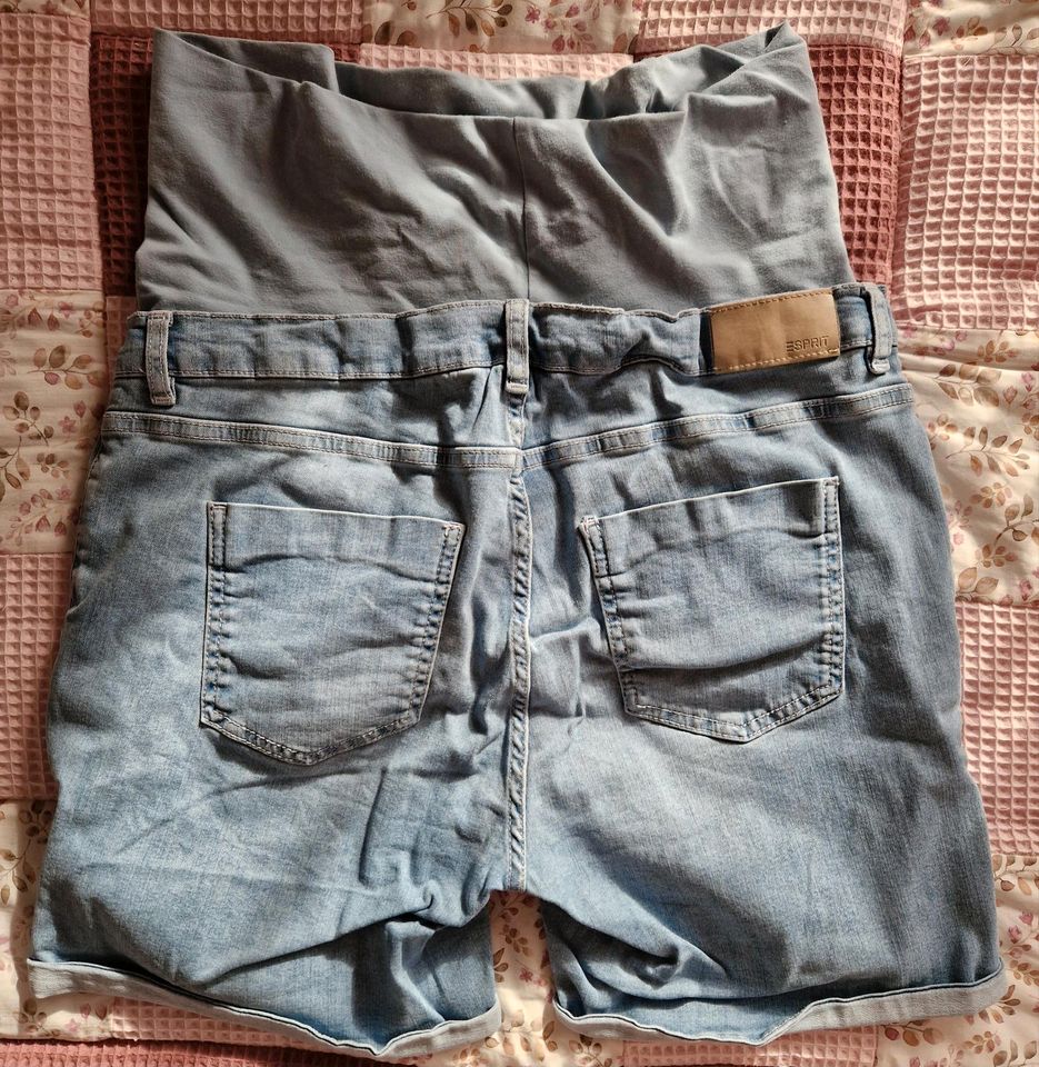 Jeansshorts Schwangerschaft Esprit in Zweibrücken