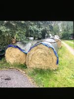 Rundballenheu Brandenburg - Lübbenau (Spreewald) Vorschau