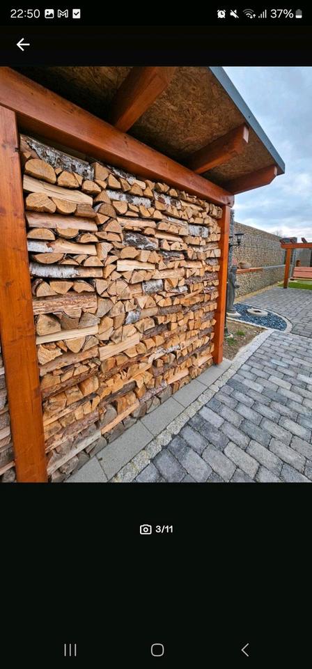 Kaminholz Brennholz Birke  frisch 25/30/33/40/45|50 Lieferung in Kodersdorf