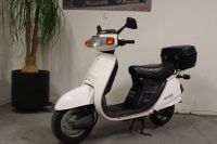 Honda NH 80 Lead 1983 Roller Oldtimer Motorrad Nordrhein-Westfalen - Vreden Vorschau