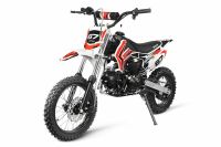 Storm 125cc DirtbikeSemi-Automatik Kick + E-Starter Crossbike Nordrhein-Westfalen - Gelsenkirchen Vorschau