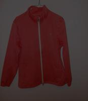 PUMA DAMENSPORTJACKE, Gr. 40, pink Hessen - Limburg Vorschau