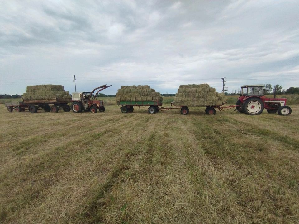 Stroh und Heu Pressen in Bismark (Altmark)