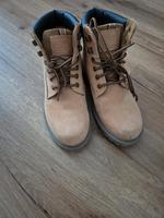 Dockers (41) Bayern - Leinburg Vorschau