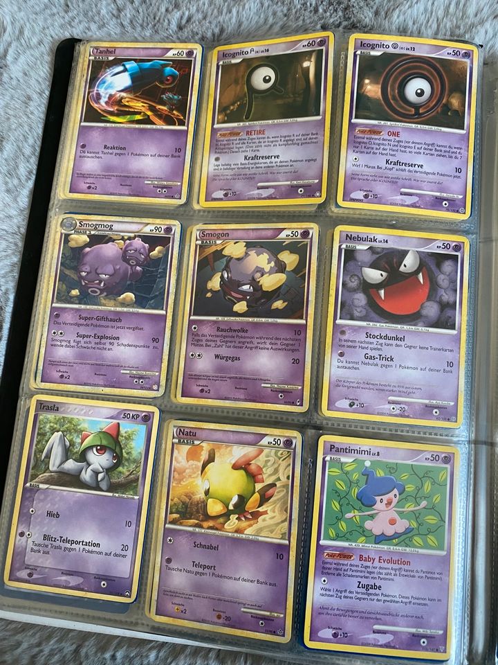 Pokémon Sammlung in Borod Westerwald