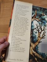 Kinderbuch Karl Heinz Berger Robin Hood der Rächer vom Sherwood Sachsen-Anhalt - Halle Vorschau