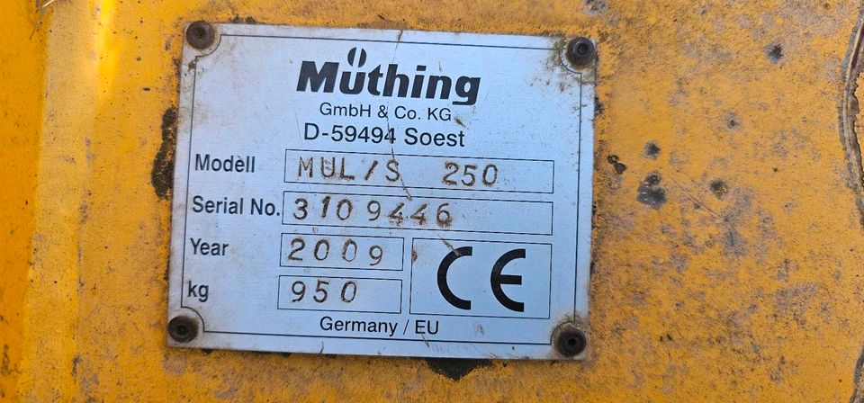 Müthing MUL/S 250 Mulcher/Böschungsmulcher/Auslegemulcher in Neuhof