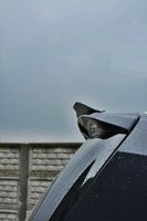 Heck Spoiler Aufsatz Abrisskante Opel ZAFIRA B OPC schwarz Glanz Niedersachsen - Bruchhausen-Vilsen Vorschau