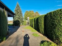 Gartenpflege, Baum-Strauch und Heckenschnitt, Termine frei noch! Nordrhein-Westfalen - Elsdorf Vorschau