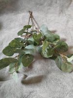 2 Eukalyptus Kunstpflanzen Rossmann Bayern - Nandlstadt Vorschau
