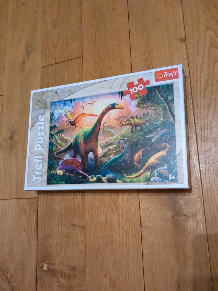 Verschiedene Kinder Puzzle Dinosaurier, paw patrol in Lübbecke 