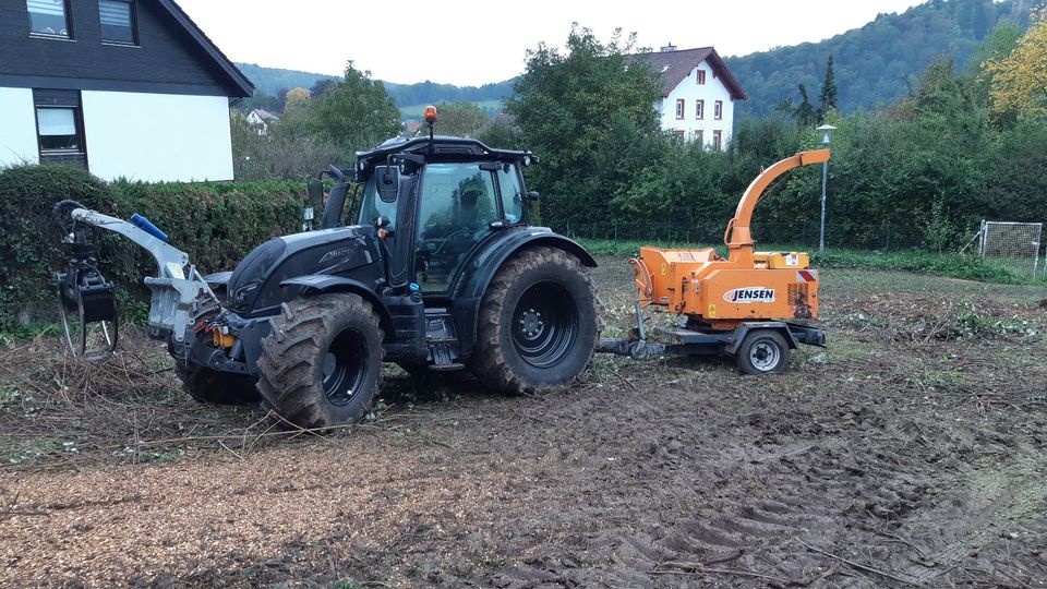 Forstmulcher Forstfräse Wildwuchs Rodung Rekulitvirung Brombeeren in Mosbach