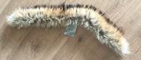Echt Fell Waschbär / Racoon für Bogner Jacken Bayern - Ammerndorf Vorschau