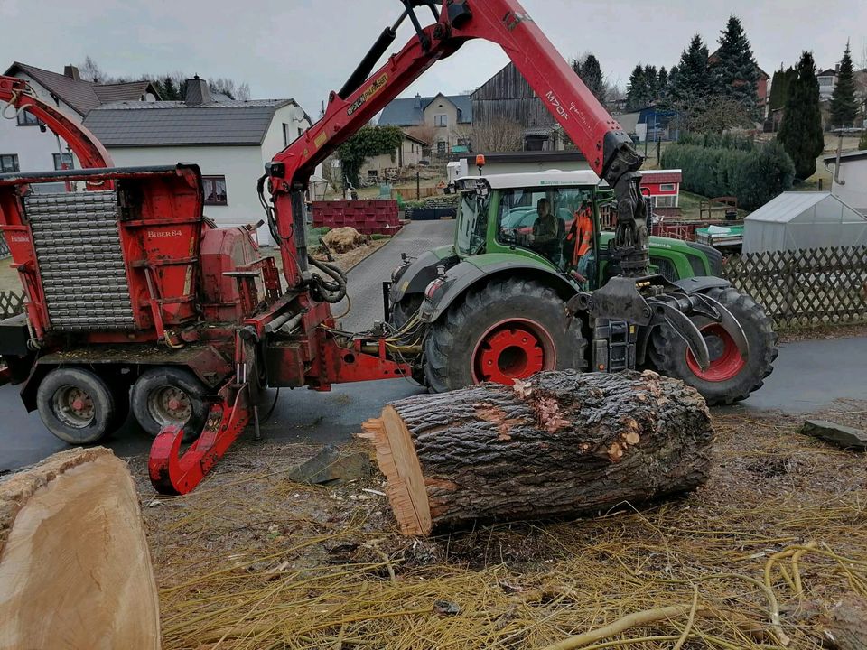 Holzeinschlag Holzrückung Baumfällungen Baumpflege Stubbenfräsen in Zwoenitz