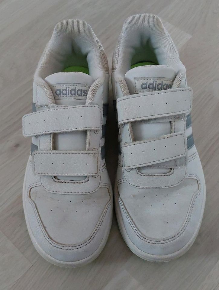 Adidas Sneaker weiß Gr. 35 in St. Wendel