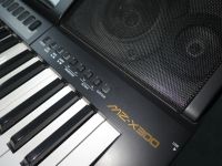 Casio MZ X300 Arranger-Keyboard mit Tasche, Stativ, Pedale Nordrhein-Westfalen - Krefeld Vorschau