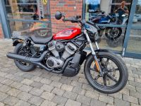 Harley-Davidson Nightster RH975 wie NEU!! Bielefeld - Bielefeld (Innenstadt) Vorschau