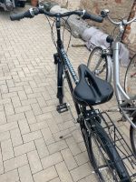 3 Fahrräder alle 28 Zoll Sachsen-Anhalt - Egeln Vorschau