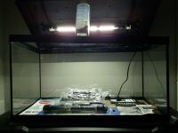 Aquarium LED Sparaquarienset 60 cm Neu, Zubehör ab 49,90 Euro !! Schleswig-Holstein - Lübeck Vorschau