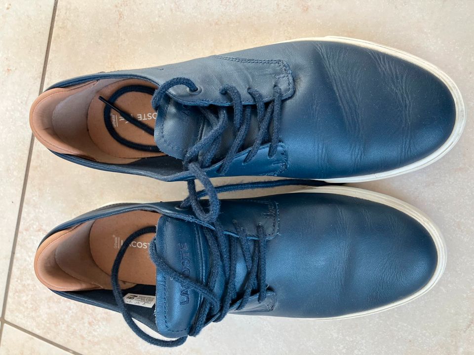 Lacoste shop espere chukka