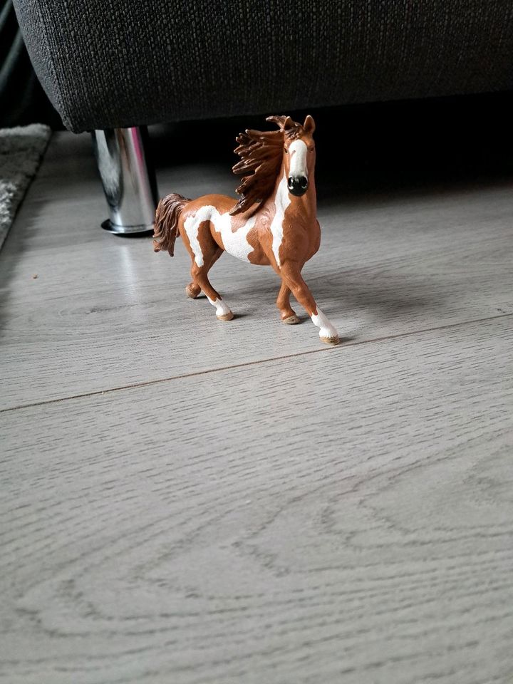 Pferd Schleich braun weiß in Rellingen