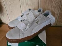 Puma Heart Perf Gum Gr 40 Nordrhein-Westfalen - Hagen Vorschau