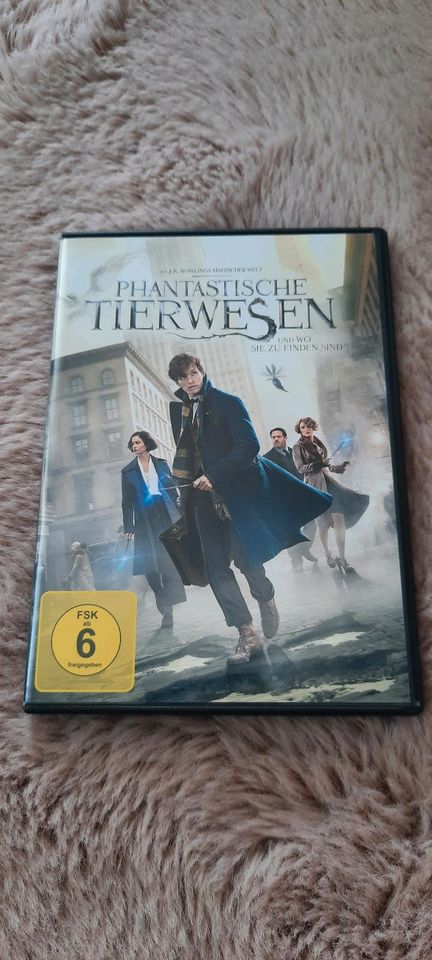 Phantastische Tierwesen UND WO SIE ZU FINDEN SIND DVD in Bad Lippspringe