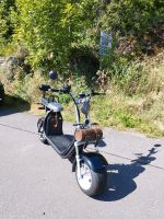 E- Scooter Roller 2 Sitzer Rheinland-Pfalz - Mörschbach Vorschau