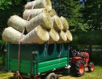 Heuballen, Grummet, kleine handliche Ballen Heu Thüringen - Schleiz Vorschau