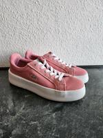 Lacoste Schuhe 41 Dresden - Blasewitz Vorschau