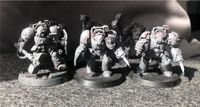 6x Assault Terminators / Sturm Terminatoren, Space Marines Berlin - Pankow Vorschau