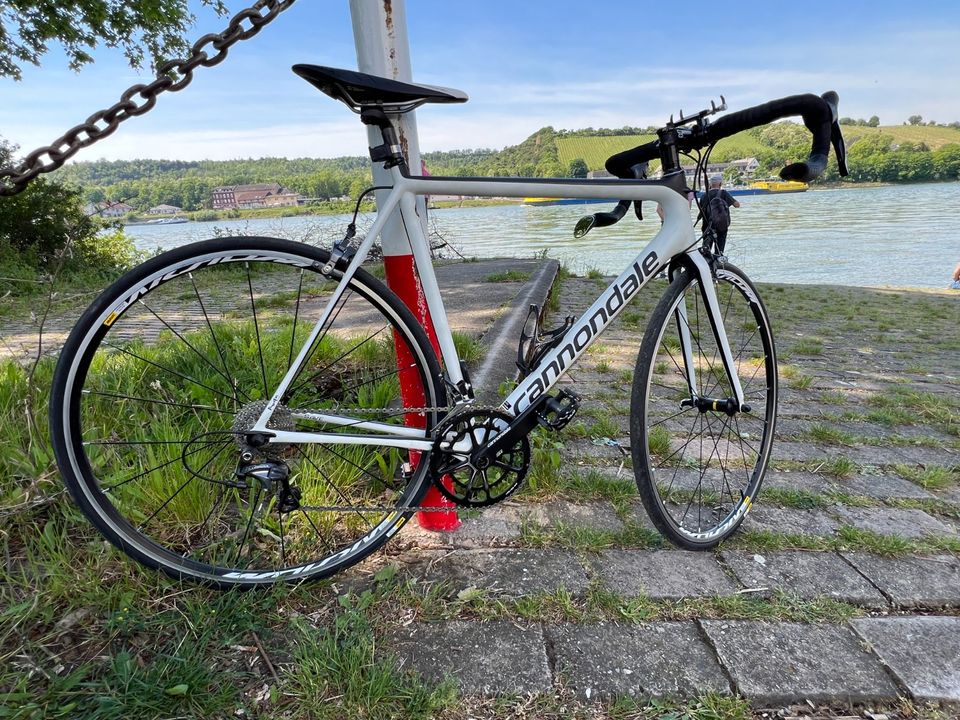 2019 Cannondale Super-Six EVO (56cm, 21-fach) Karo in Groß-Gerau