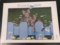 INOVAKIDS Puzzle * Katzen Kätzchen * 1000 Teile * 70 x 50 cm Dresden - Cotta Vorschau