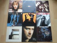 (3) 9 LP`s Status Quo, Phil Collins, Simple Minds, Suzanne Vega Rheinland-Pfalz - Ludwigshafen Vorschau