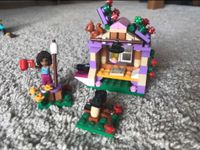 Lego Friends - Andreas Berghütte 41031 Bayern - Würzburg Vorschau