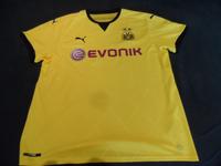 BVB Trikot Pulisic Bayern - Aschaffenburg Vorschau