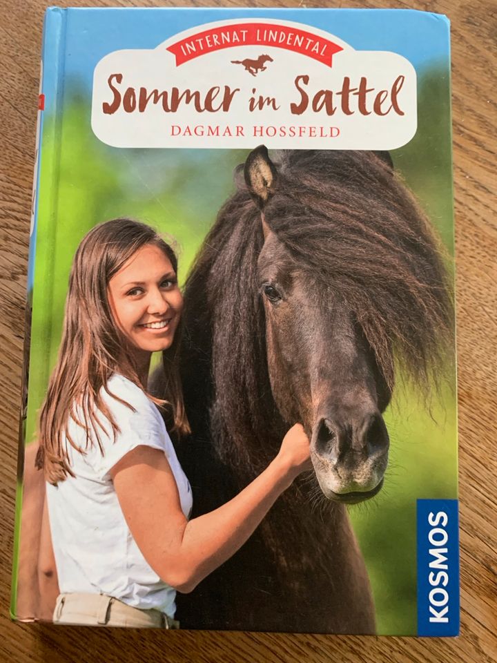 Sommer im Sattel aus der Reihe Internat Lindental in Essen