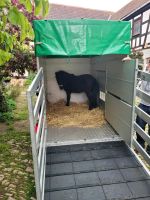 Pferdeanhänger für Ponys, Shetty, Shetlandpony zu vermieten Sachsen - Reinsdorf Vorschau