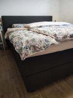 Boxspringbett Nordrhein-Westfalen - Marsberg Vorschau