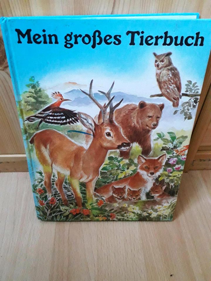 Kinderbücher je 2 € in Dresden