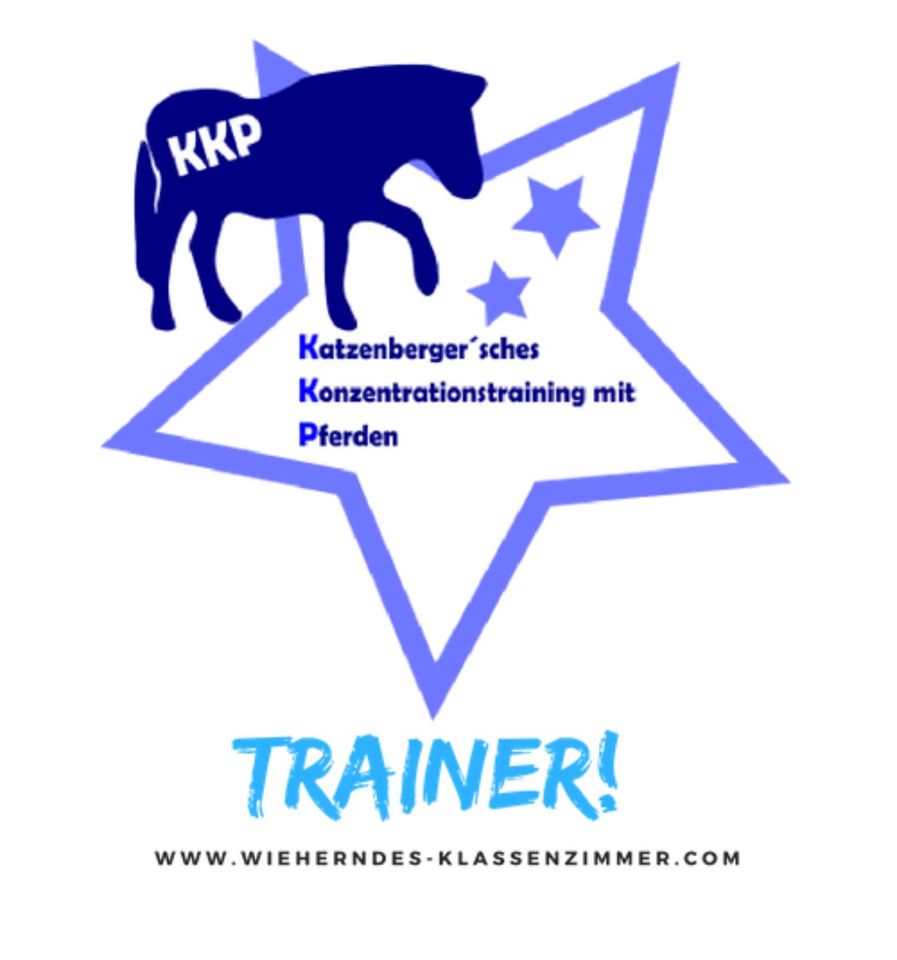 Konzentrationstraining mit Pferd/Pony für Kinder z. B. AD(H)S in Thedinghausen