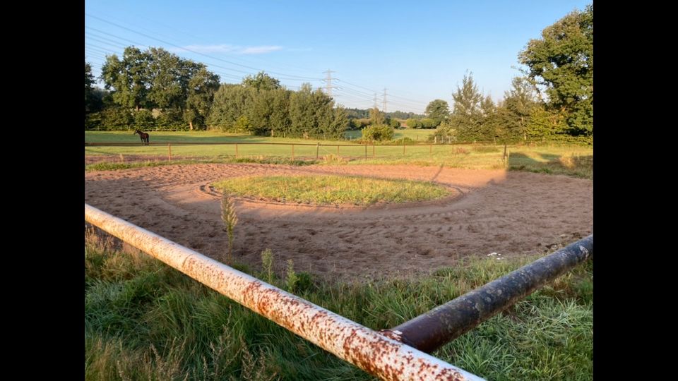 Box zu vermieten/ Pensionsstall in Oststeinbek