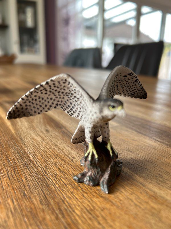 Schleich Wanderfalke in Erolzheim