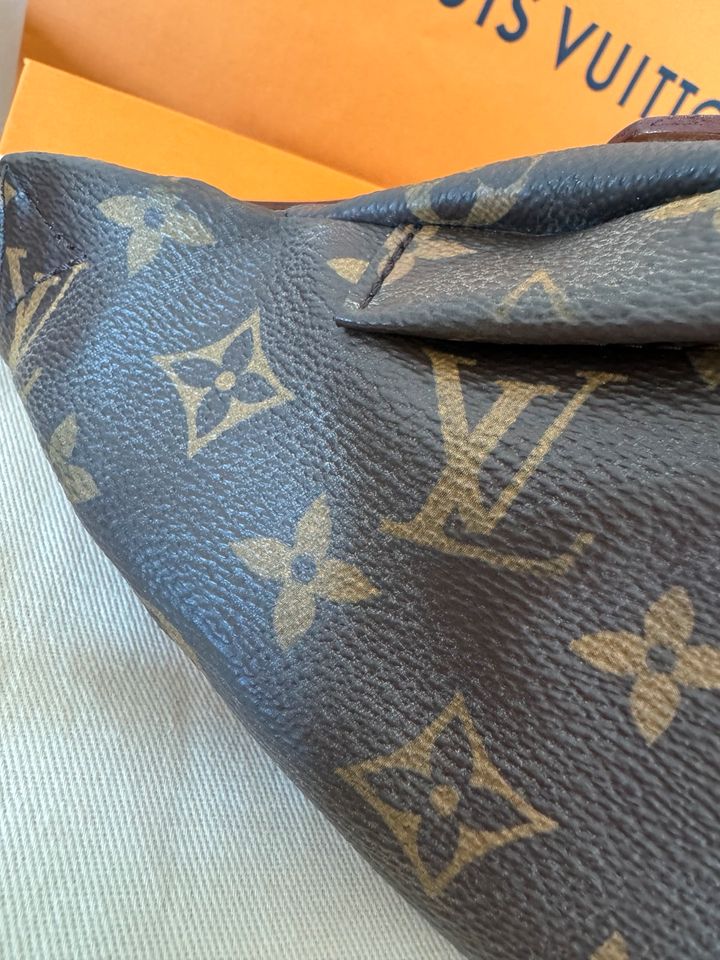 Louis Vuitton Bumbag Monogram in Forst